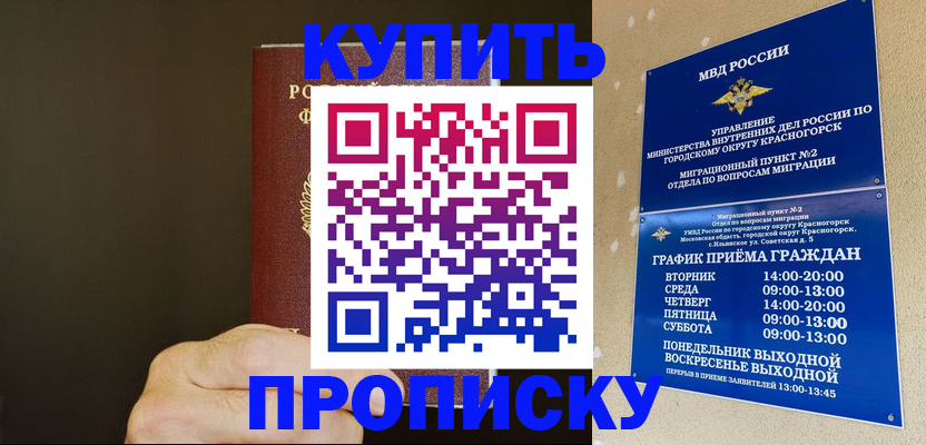 прописка поиск в Георгиевске